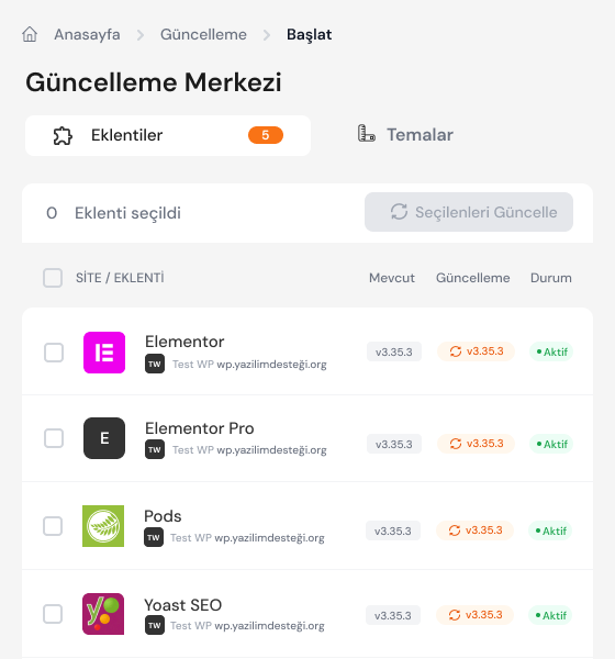 WordPress Güncellemeler